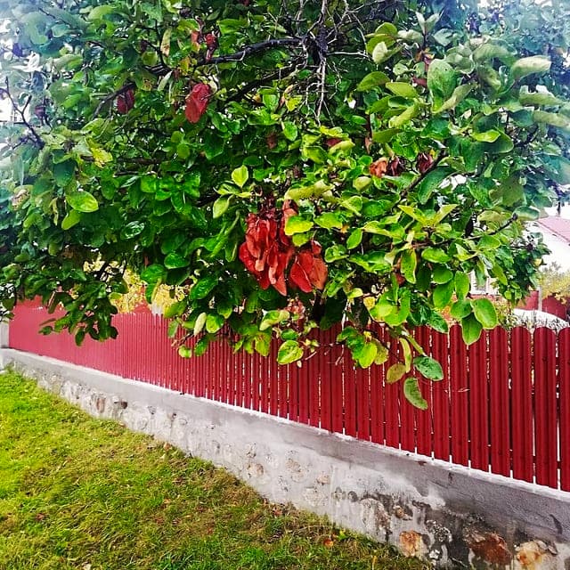 Sipca Metalica Gard TISA V-MATT Rosu RAL 3011